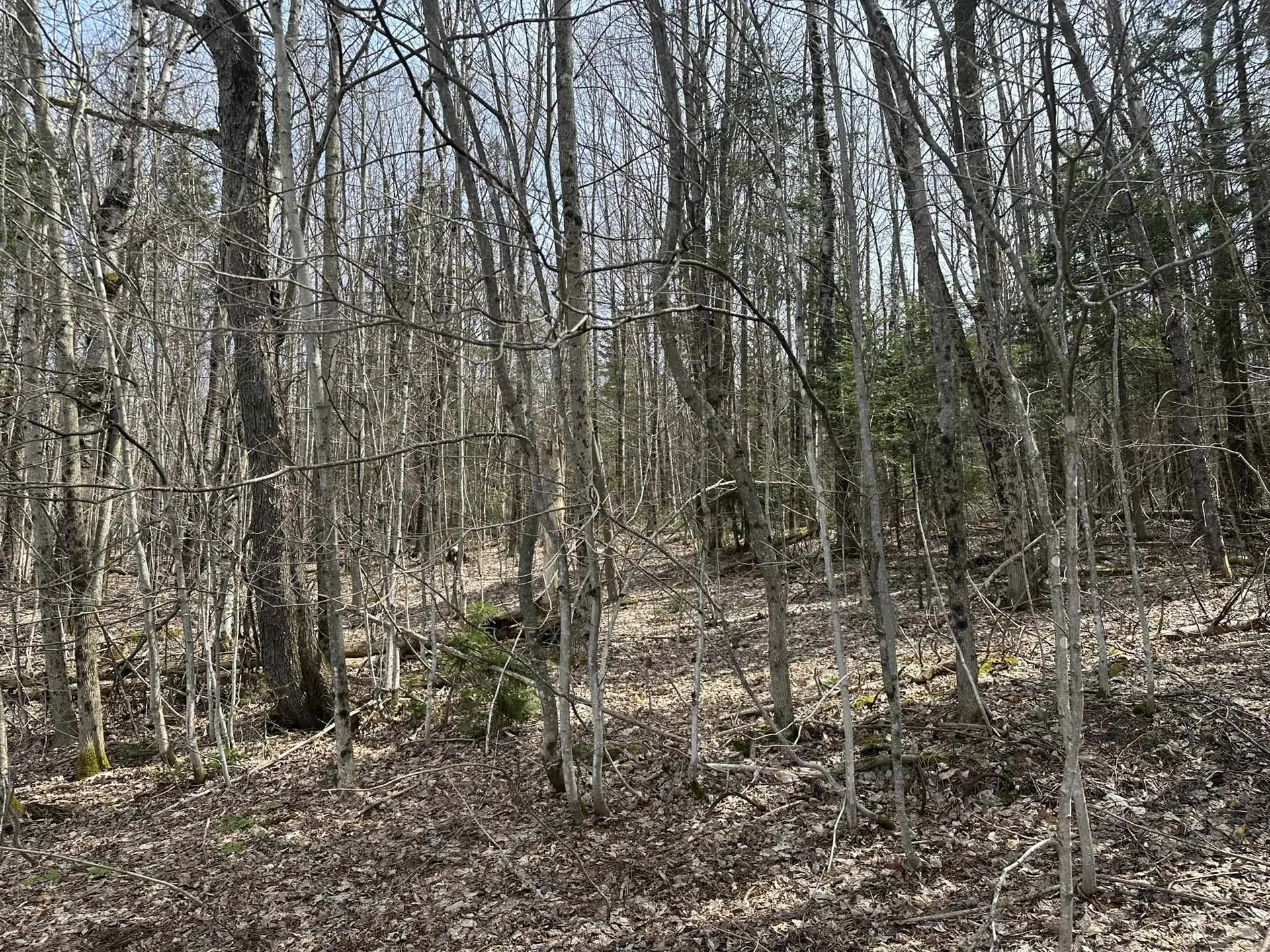 0 West Woodbury Road Woodbury VT 05681