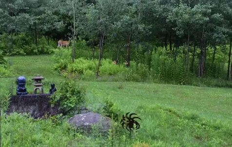 1448 Cyrus Road Whitingham VT 05361