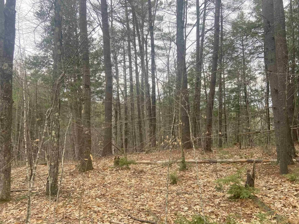 1 Berrie Lane Townshend VT 05353