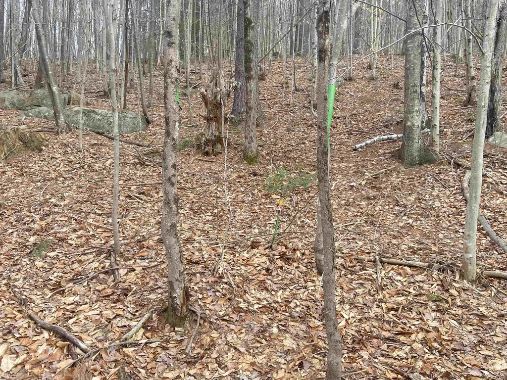 1 Berrie Lane Townshend VT 05353