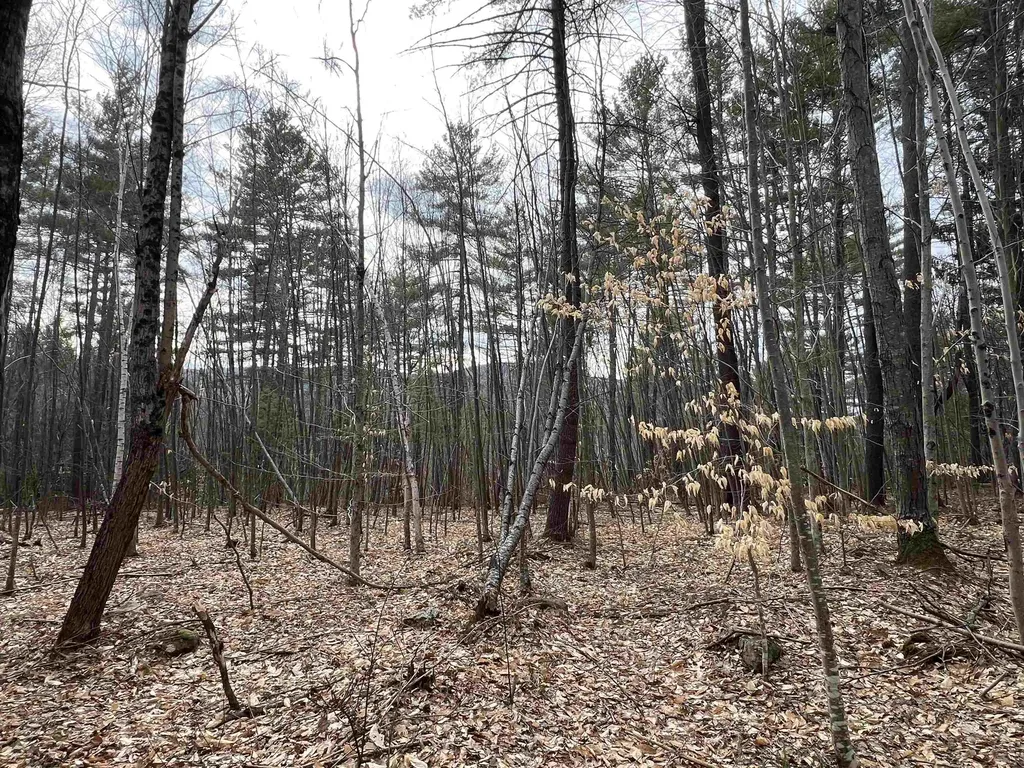 1 Berrie Lane Townshend VT 05353