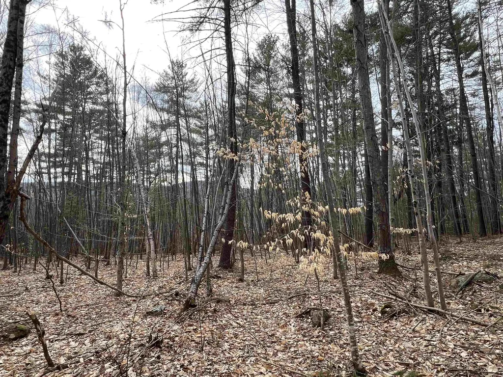 1 Berrie Lane Townshend VT 05353