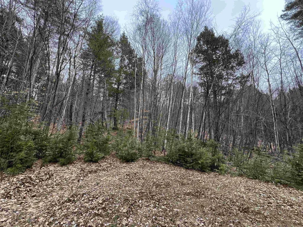 1 Berrie Lane Townshend VT 05353