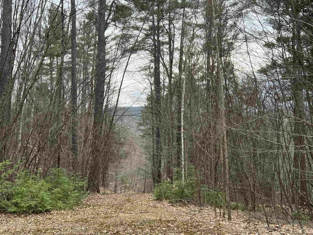 1 Berrie Lane Townshend VT 05353