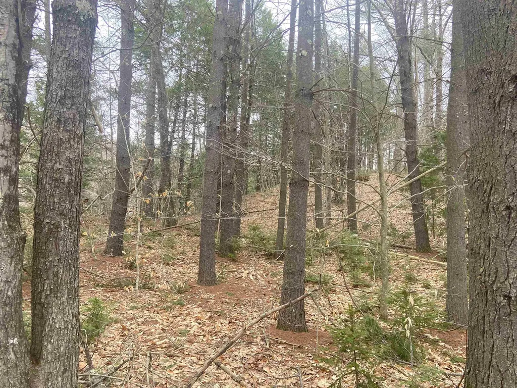 1 Berrie Lane Townshend VT 05353