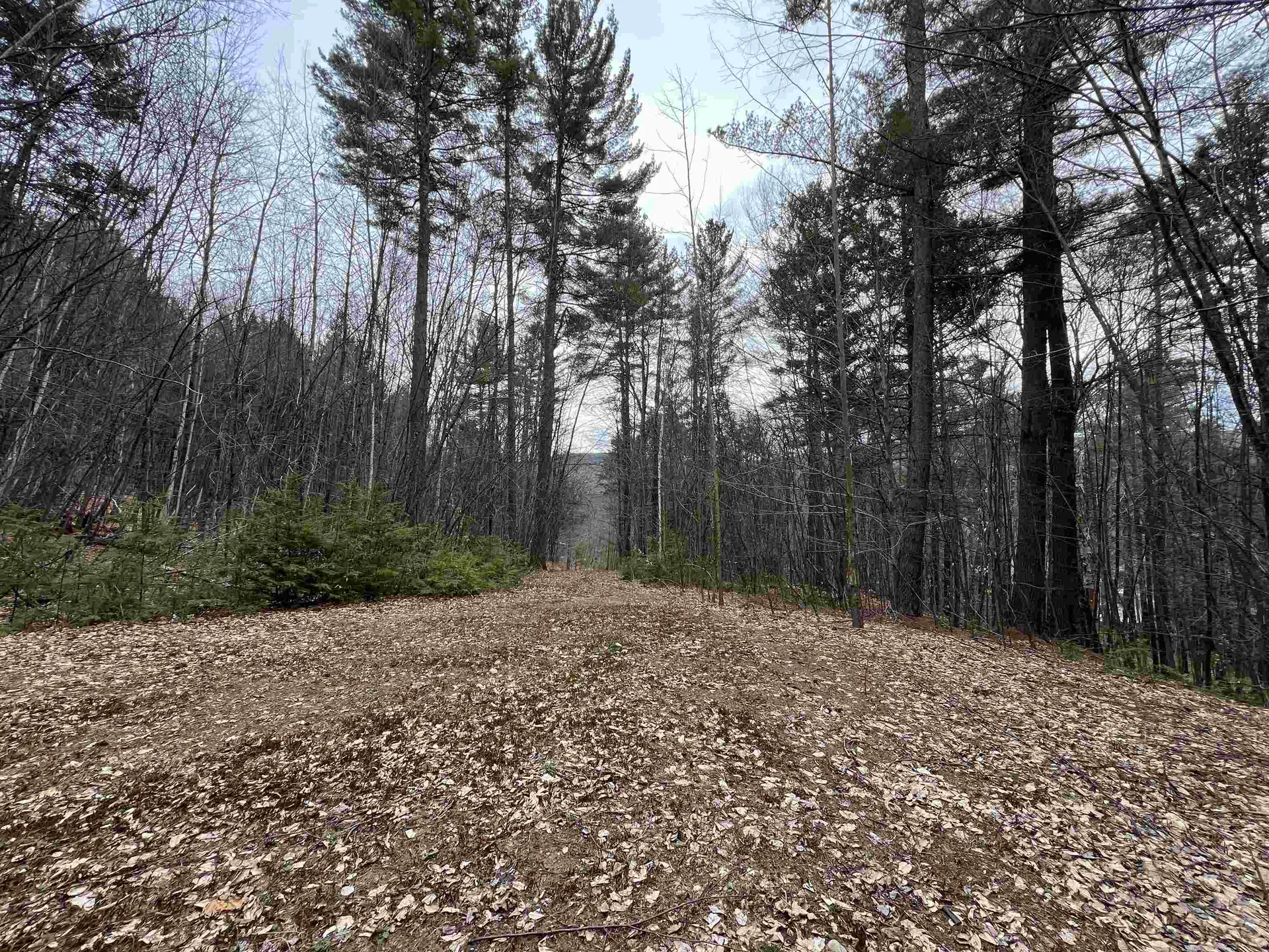 1 Berrie Lane Townshend VT 05353