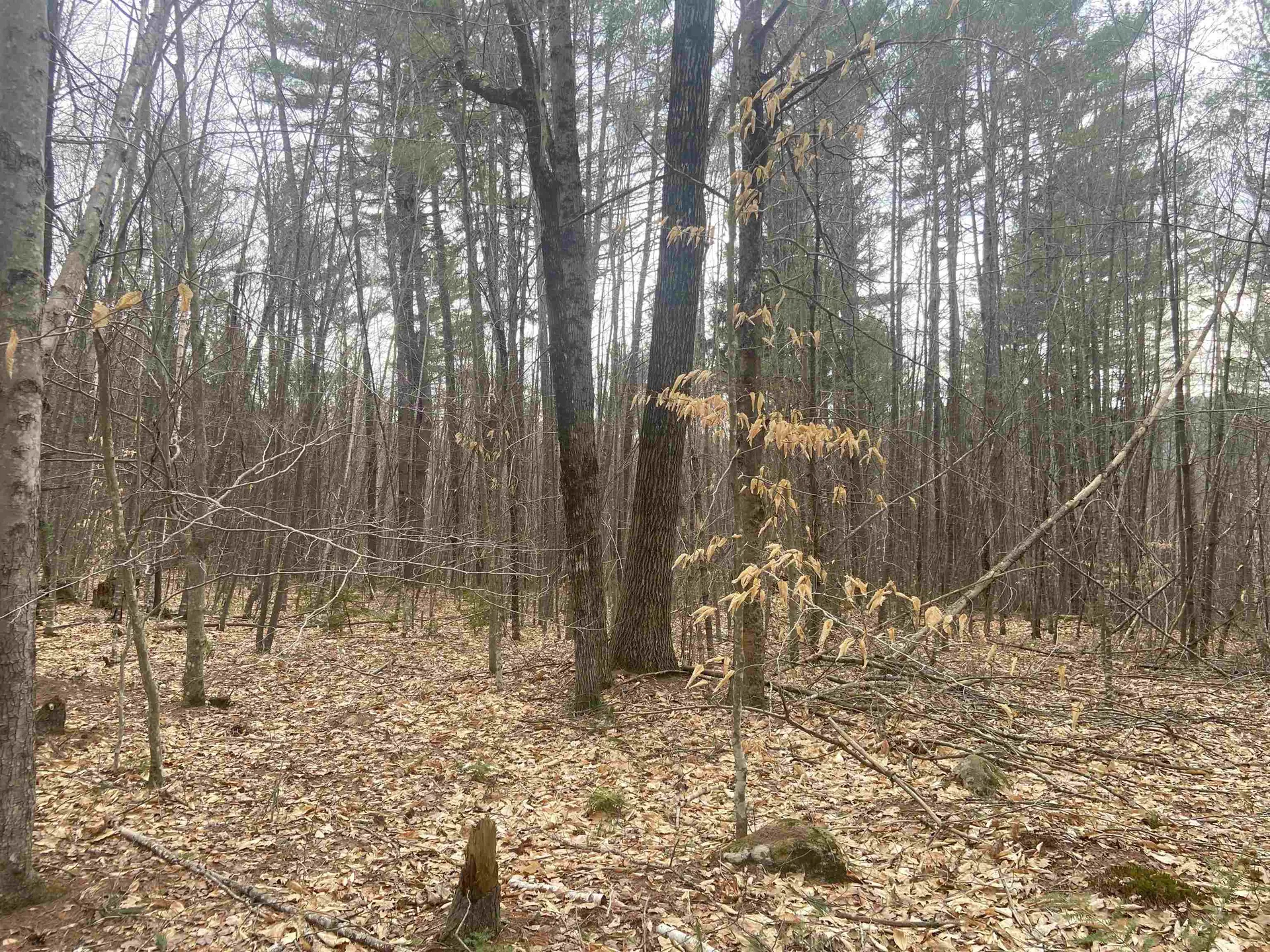 1 Berrie Lane Townshend VT 05353