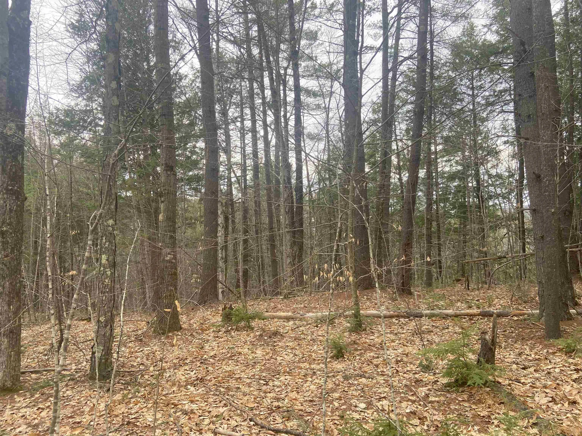 1 Berrie Lane Townshend VT 05353