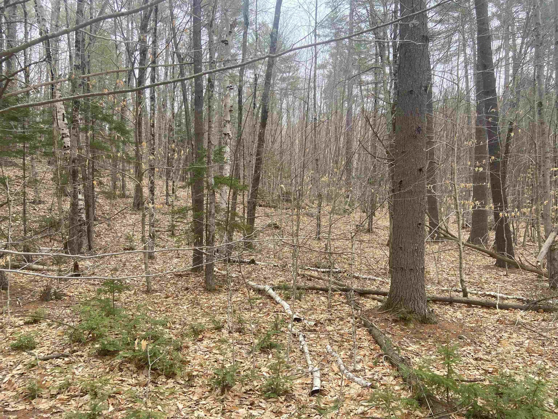 1 Berrie Lane Townshend VT 05353