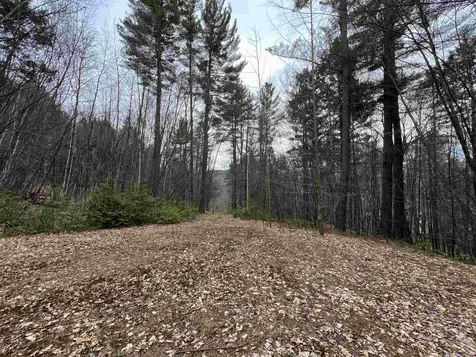 1 Berrie Lane Townshend VT 05353