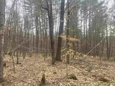 1 Berrie Lane Townshend VT 05353