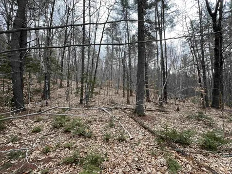 1 Berrie Lane Townshend VT 05353