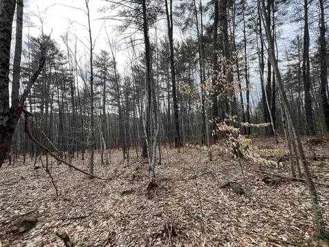 1 Berrie Lane Townshend VT 05353