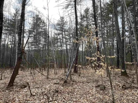 1 Berrie Lane Townshend VT 05353