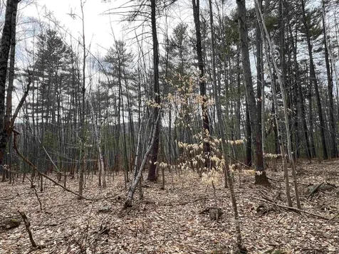 1 Berrie Lane Townshend VT 05353