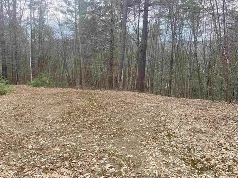 1 Berrie Lane Townshend VT 05353