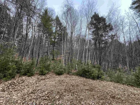 1 Berrie Lane Townshend VT 05353