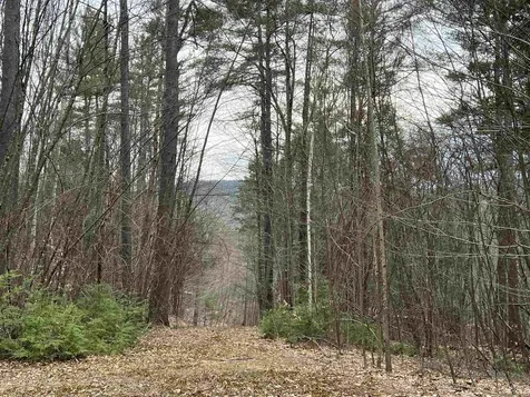 1 Berrie Lane Townshend VT 05353