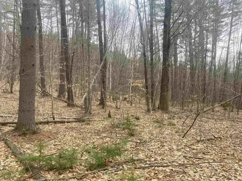 1 Berrie Lane Townshend VT 05353