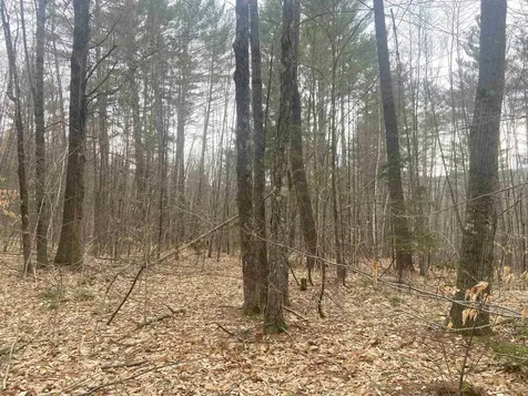 1 Berrie Lane Townshend VT 05353