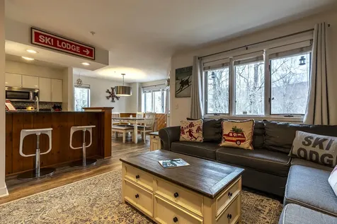 75 East Birch Road Stratton VT 05155