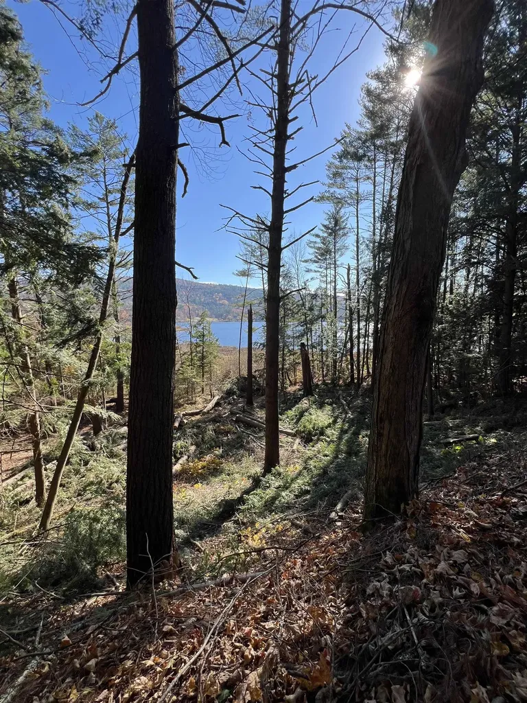 31 Post Pond Lane Lyme NH 03768