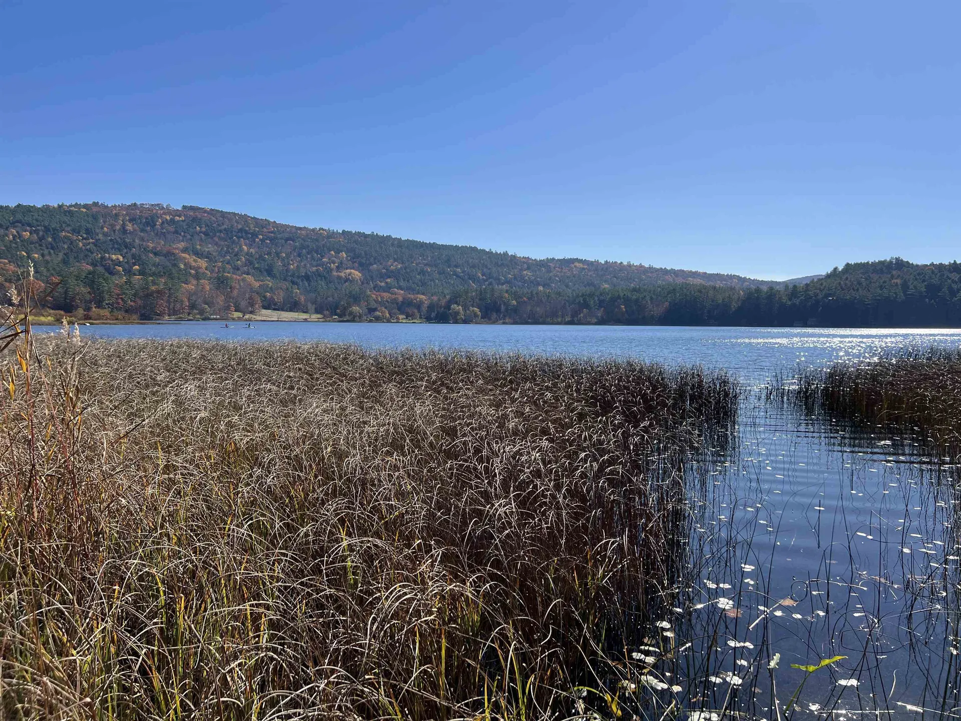 31 Post Pond Lane Lyme NH 03768