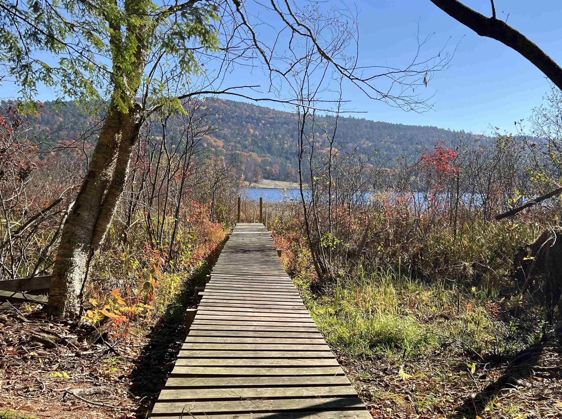 31 Post Pond Lane Lyme NH 03768