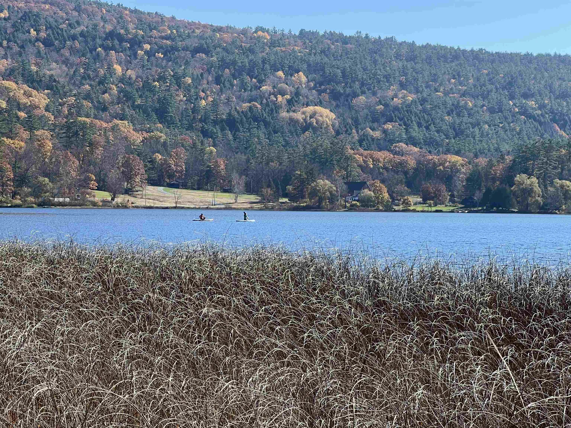 31 Post Pond Lane Lyme NH 03768