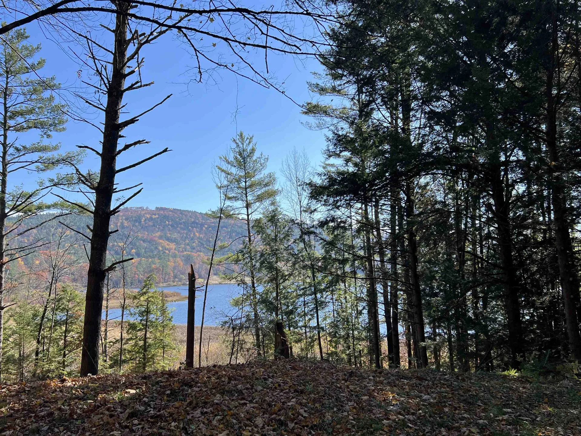 31 Post Pond Lane Lyme NH 03768