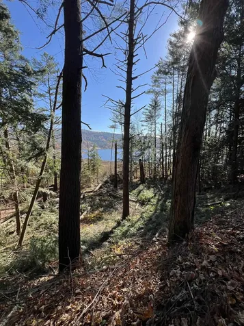 31 Post Pond Lane Lyme NH 03768