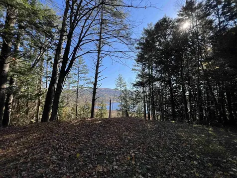 31 Post Pond Lane Lyme NH 03768