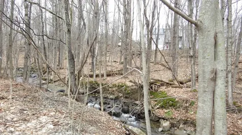 28 Jodo Way Bethlehem NH 03574