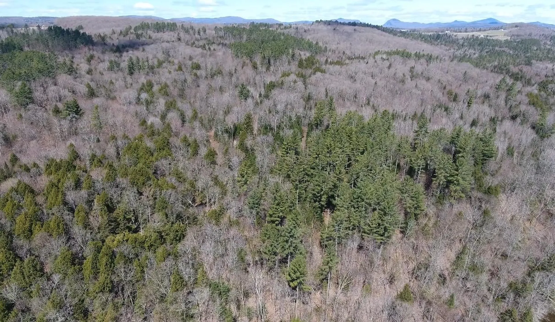 0 Darling Hill Road Lyndon VT 05849