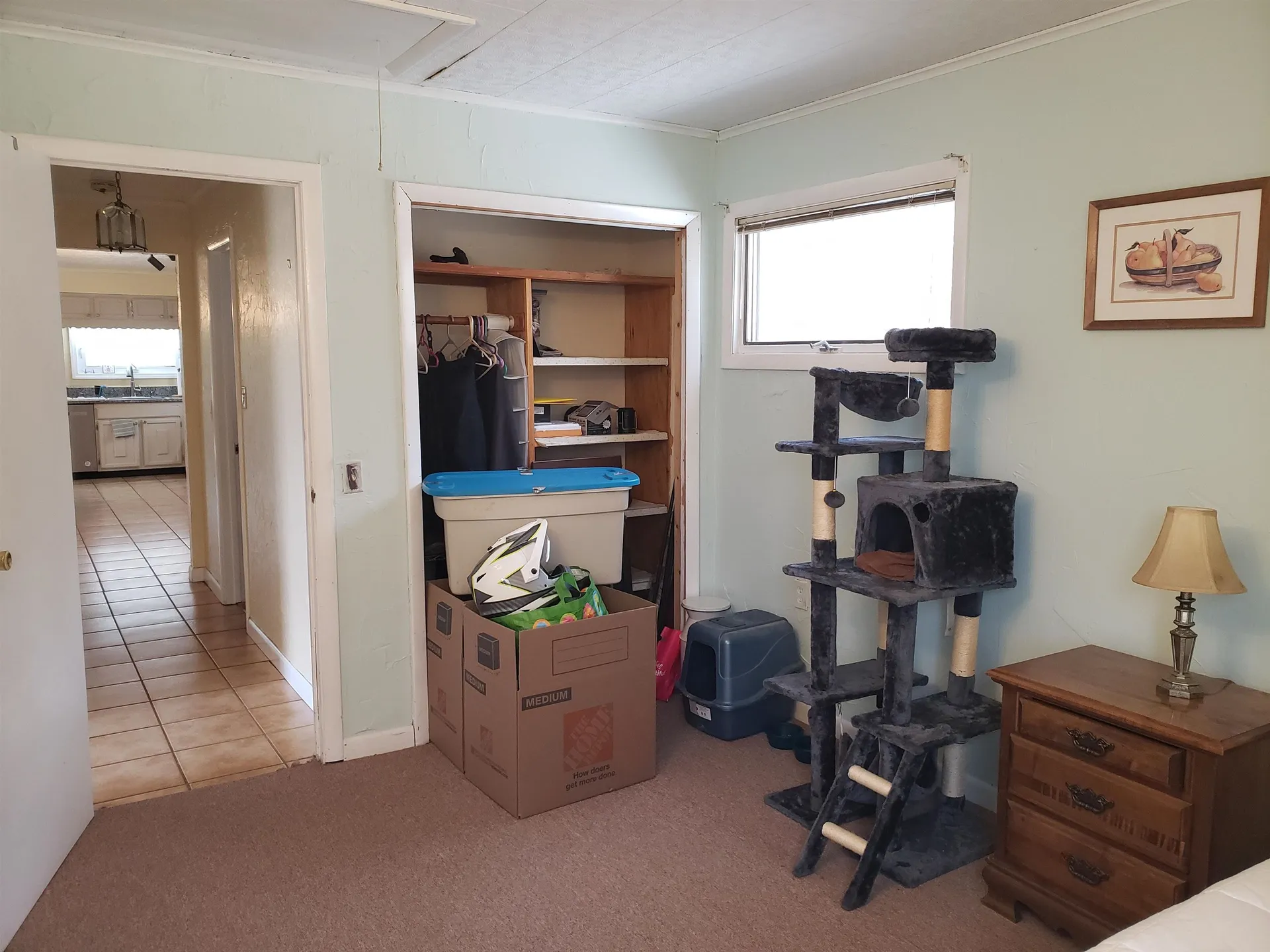 730 Hubbard Hill Halifax VT 05358