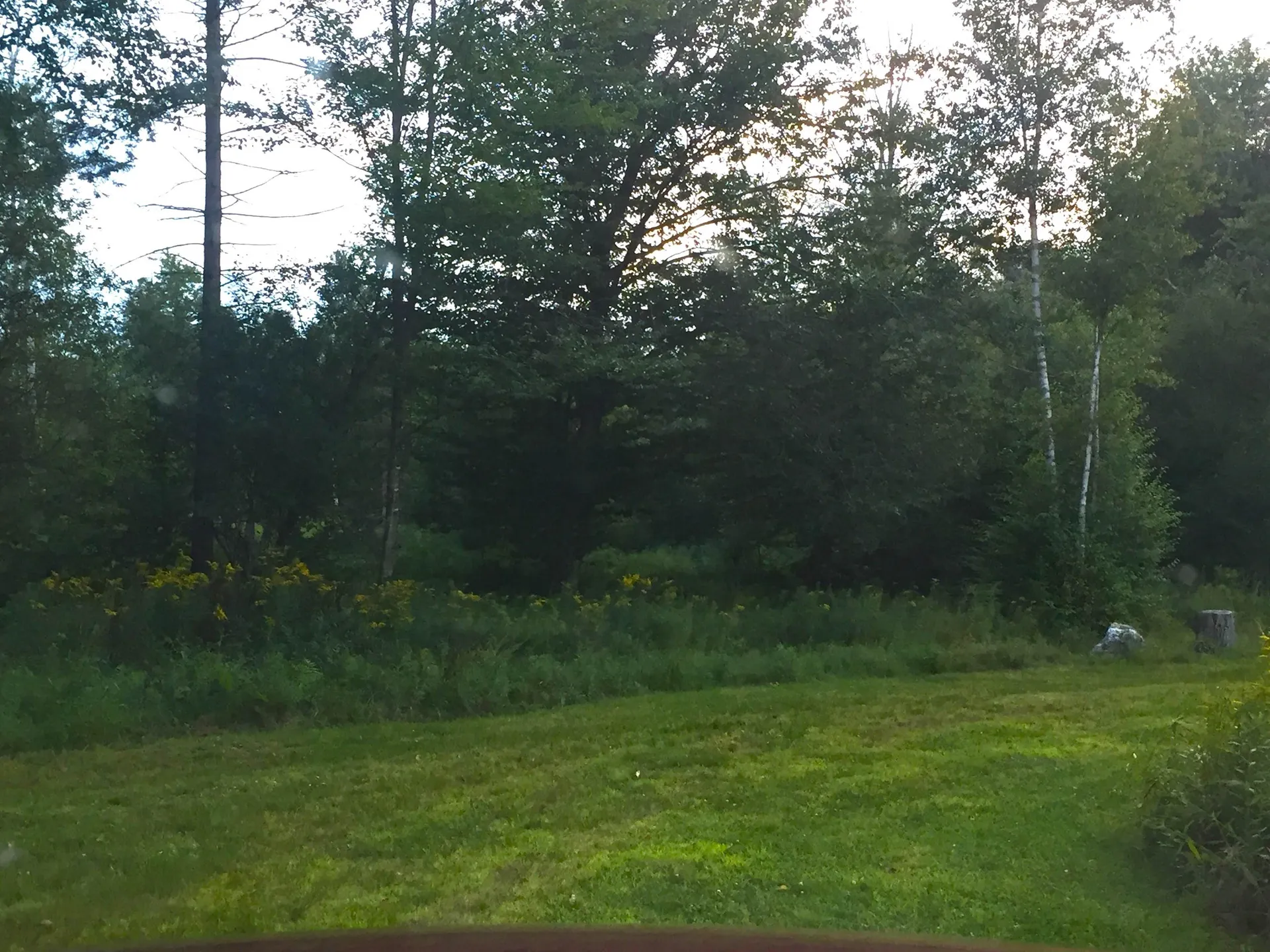 2793 Rupert Road Sandgate VT 05250