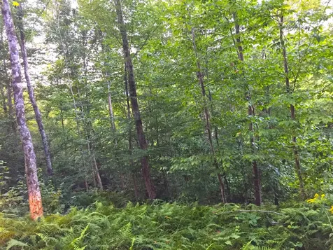 2793 Rupert Road Sandgate VT 05250