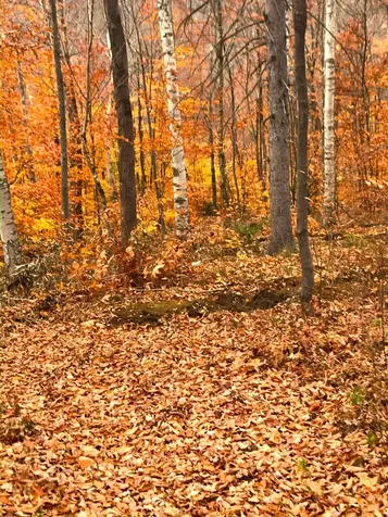 2793 Rupert Road Sandgate VT 05250