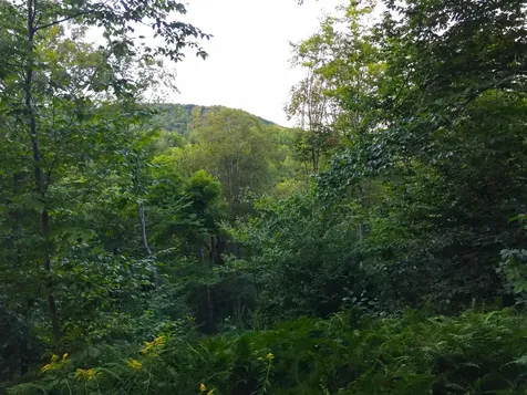 2793 Rupert Road Sandgate VT 05250