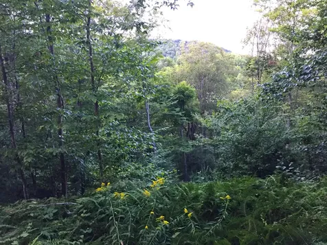 2793 Rupert Road Sandgate VT 05250