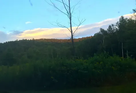 2793 Rupert Road Sandgate VT 05250