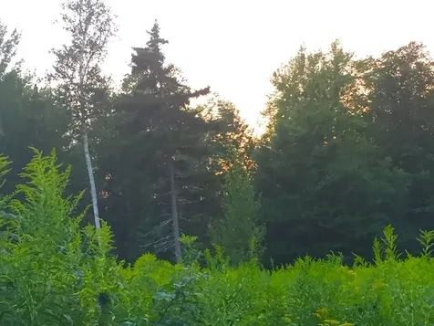2793 Rupert Road Sandgate VT 05250
