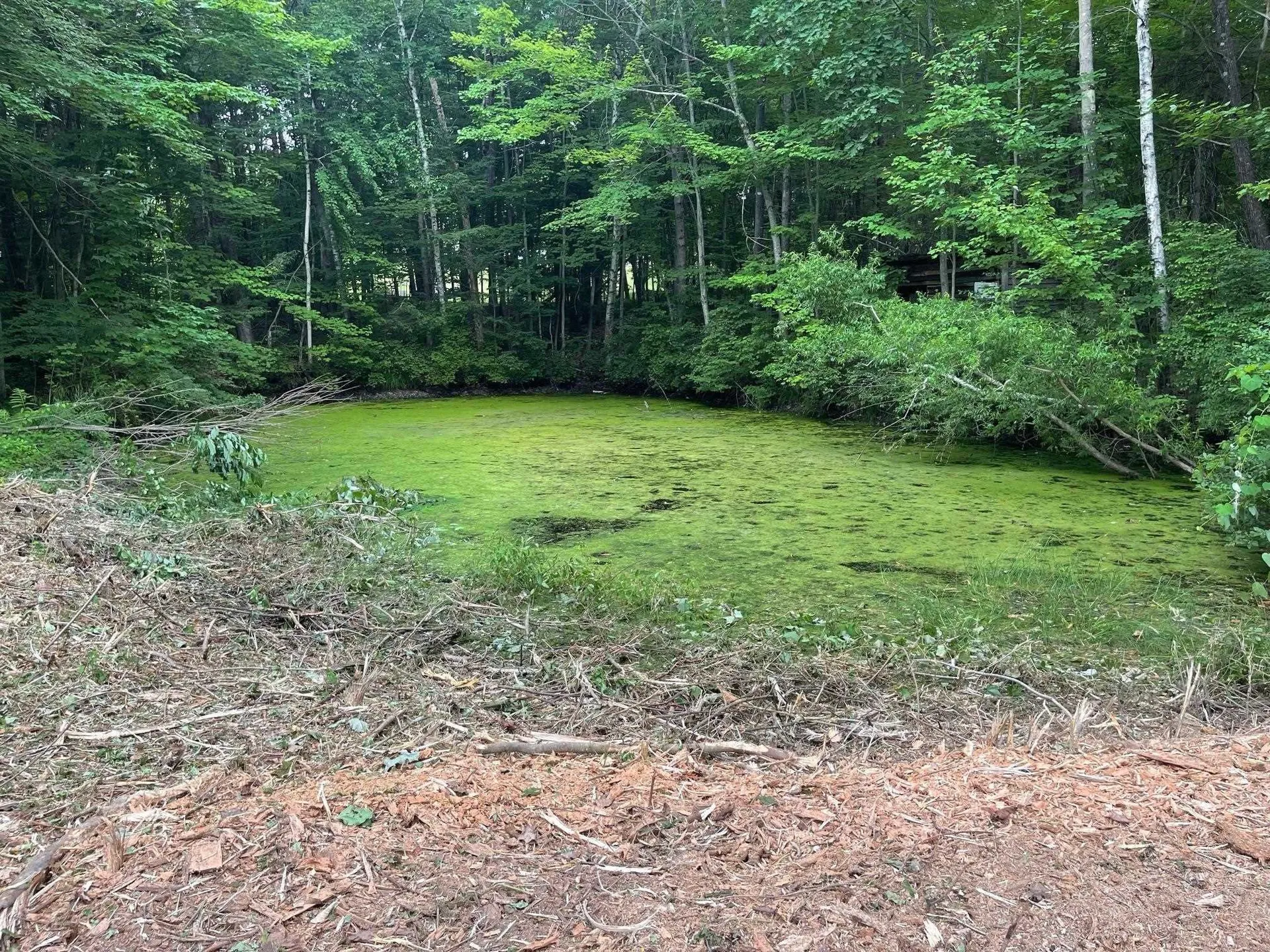 67 Christian Hill Road Amherst NH 03031