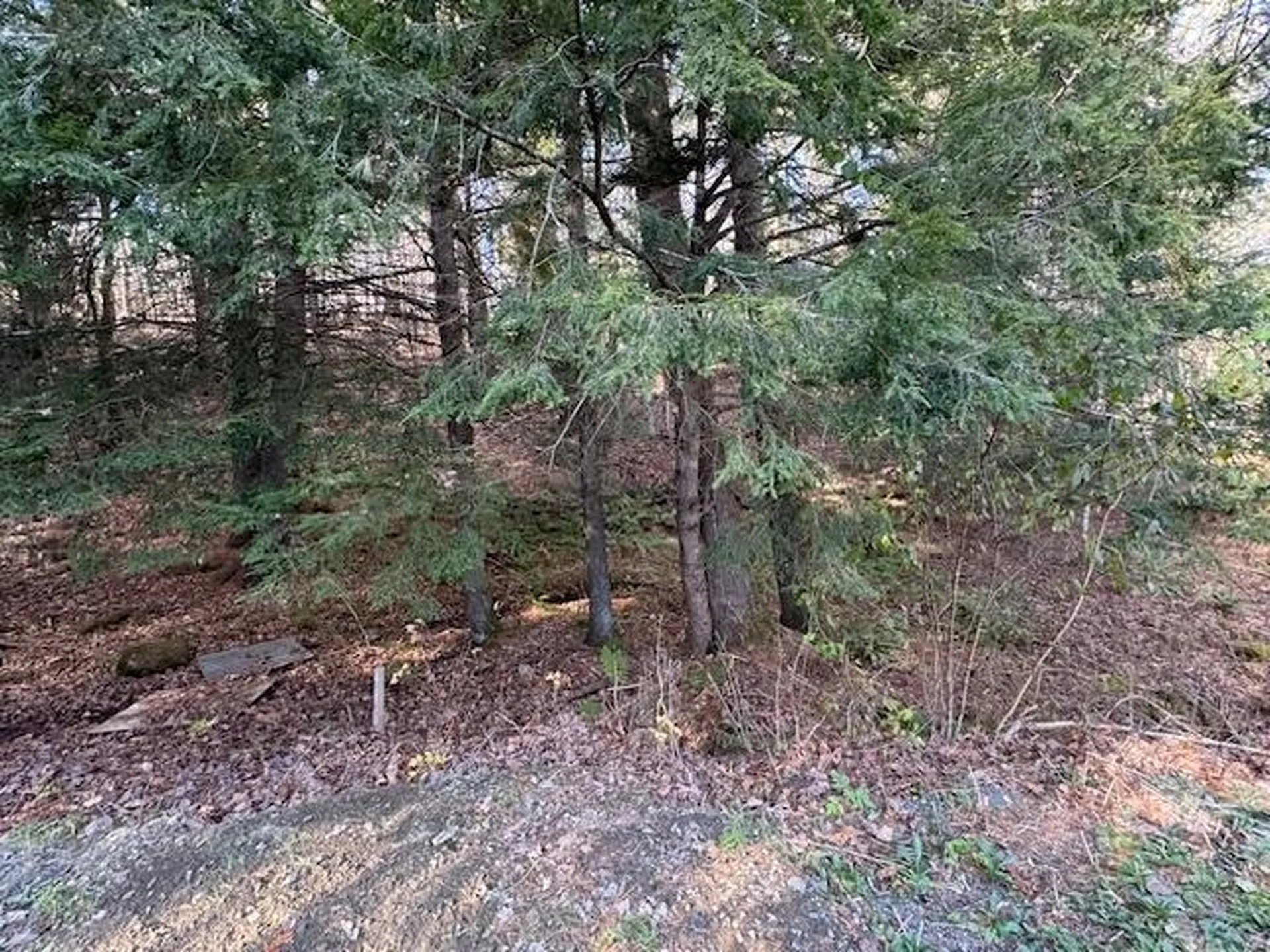 58 Orfordville Road Orford NH 03777