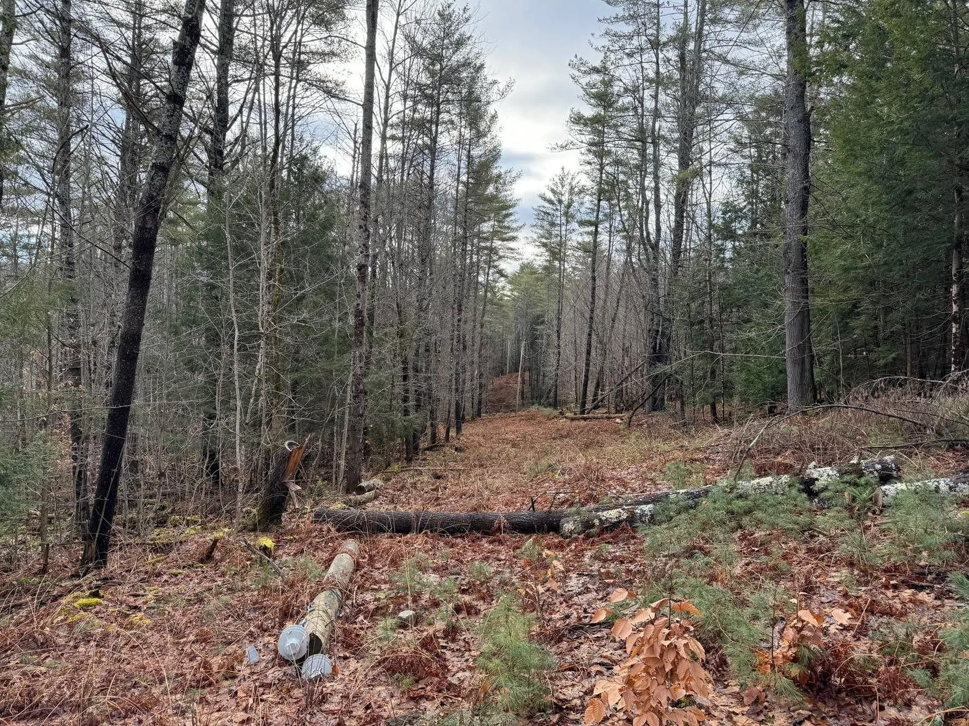 58 Orfordville Road Orford NH 03777