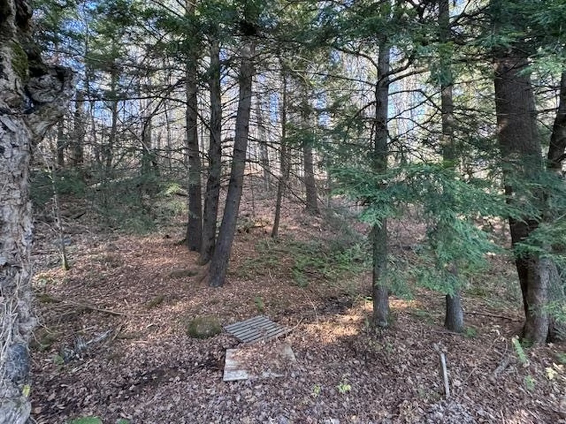 58 Orfordville Road Orford NH 03777