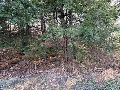 58 Orfordville Road Orford NH 03777