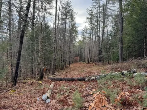 58 Orfordville Road Orford NH 03777