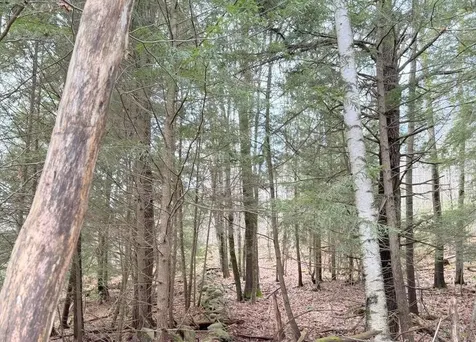 58 Orfordville Road Orford NH 03777