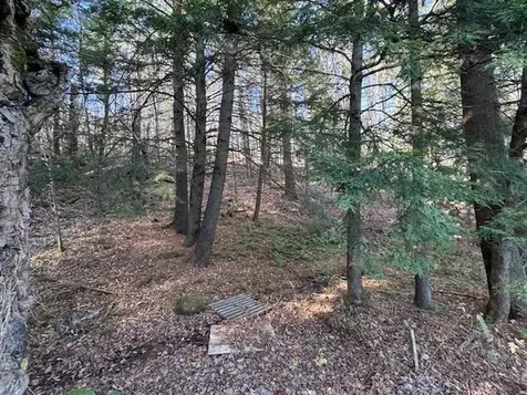 58 Orfordville Road Orford NH 03777